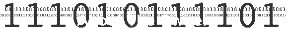 About The Owner